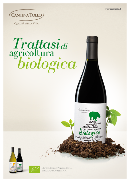 Bio_Tollo