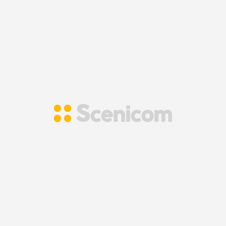 Logo-Scenicom